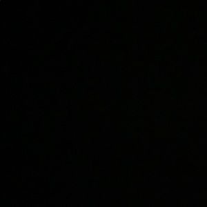 Meet your Posher, Bri